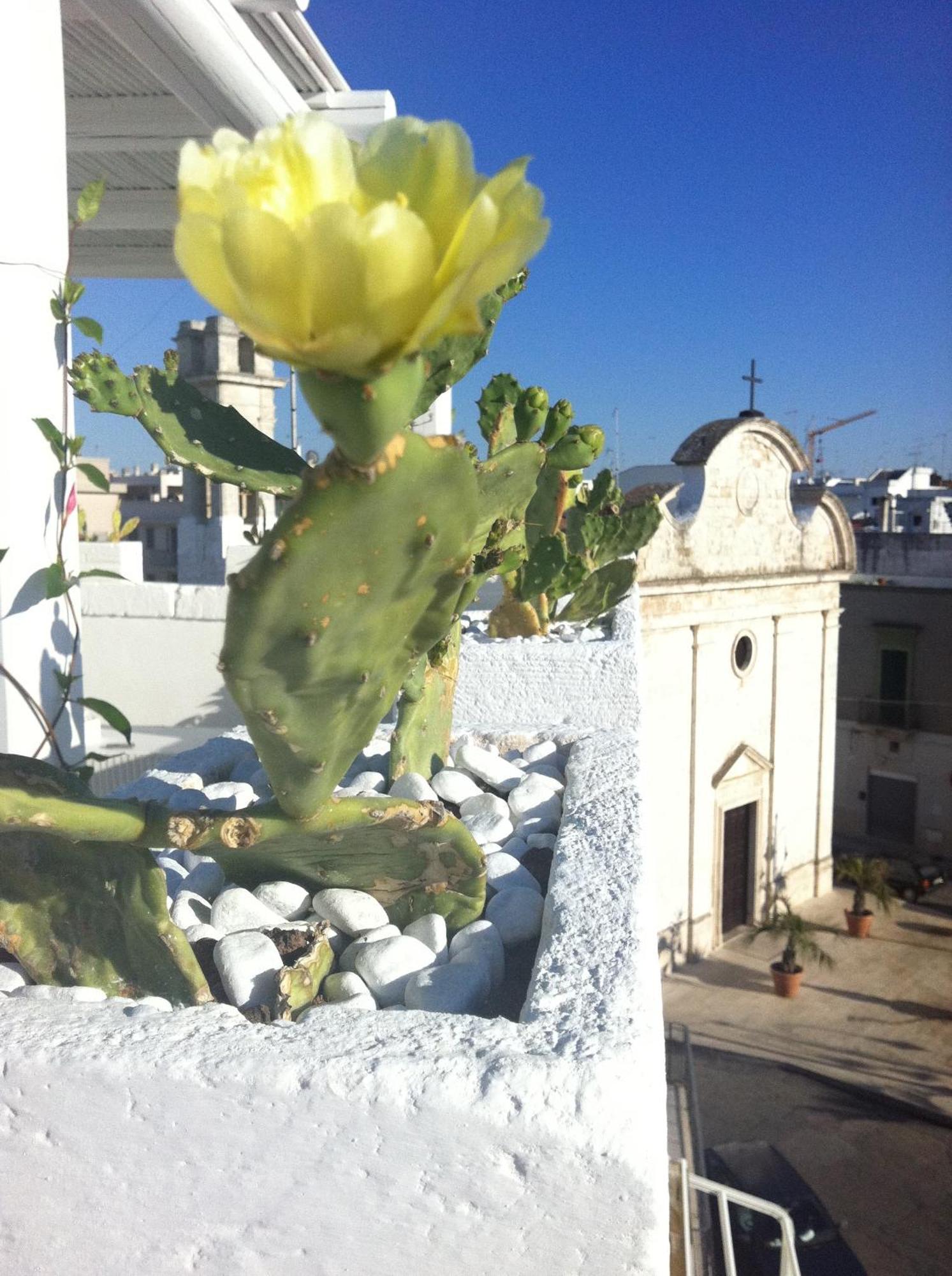 B&B Donnapasqua Polignano a Mare Luaran gambar